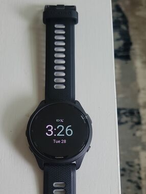 Garmin 265
